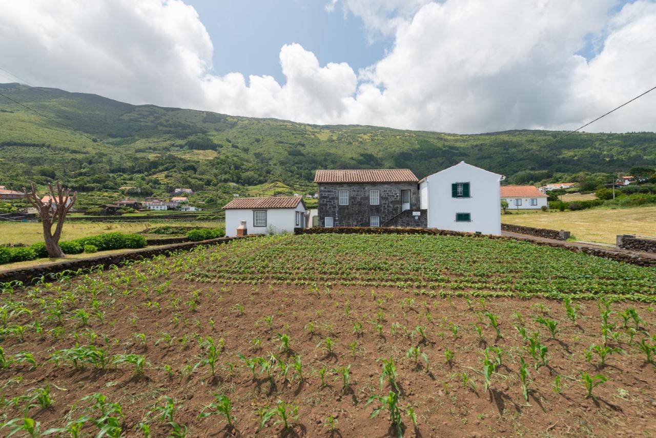 Prainha Apartments São Roque do Pico Екстериор снимка